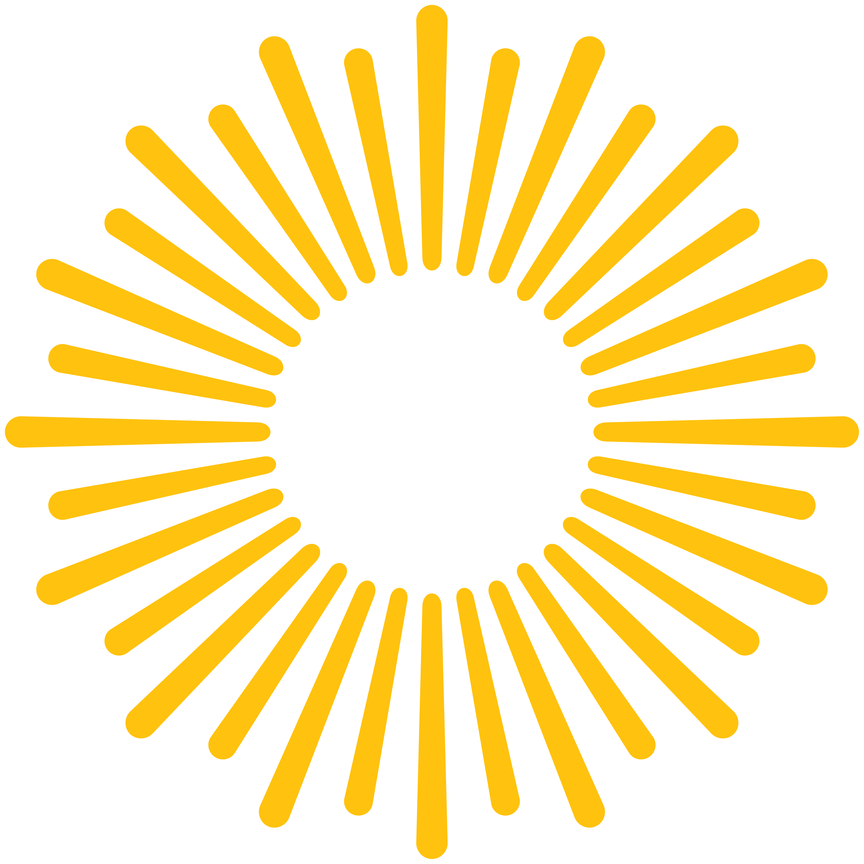 yellow sunburst graphic