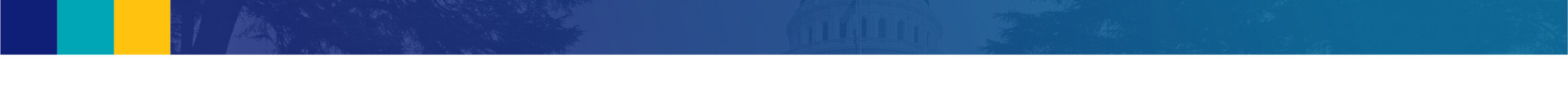 CapReporter_postSectionDivider